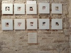 Mostra Torre di Palme 2020